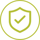 icon security check